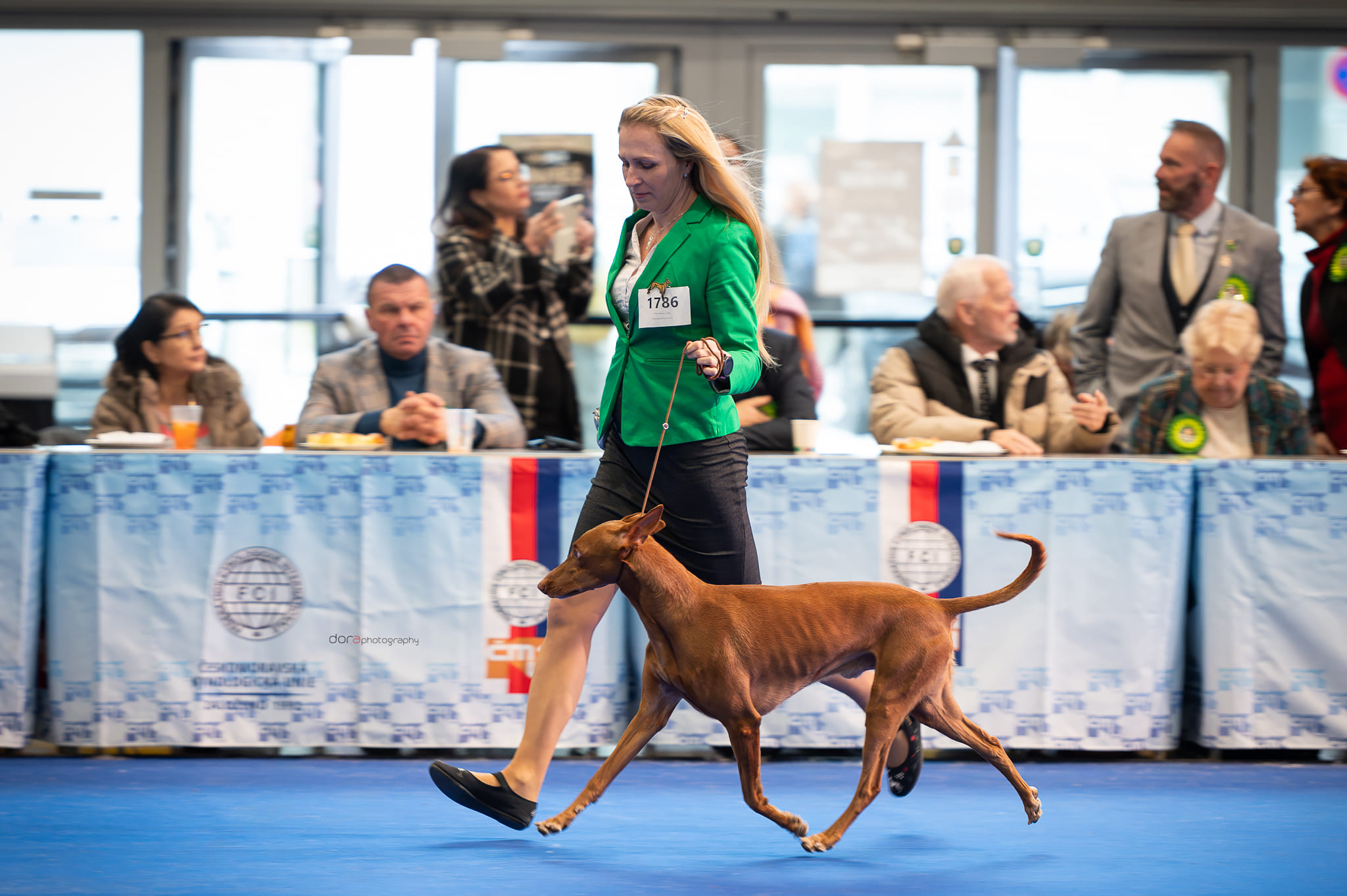 15.2.2025 CACIB Brno, CZ