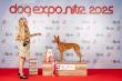 13.-15-6.2025 3x CACIB Nitra
