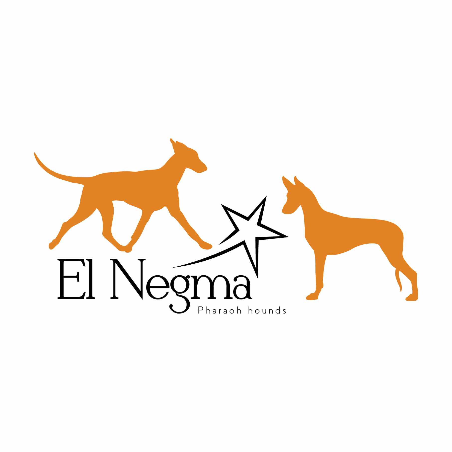El Negma - Chovatelská stanice faraonských psů