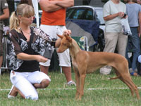 El Negma Kennel