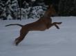 19.2.2010 Fotky