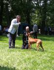 13.5.2011 Slovakian sighthound specialty