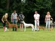 9.7.2011 Pharaoh hound club show Koln