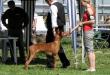 29.4.2012 CACIB Opole