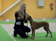 14.4.2013 CAC Ostrava