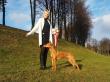 9.-10.12.2017 Mika 2x CAC Liepaja, Lotysko