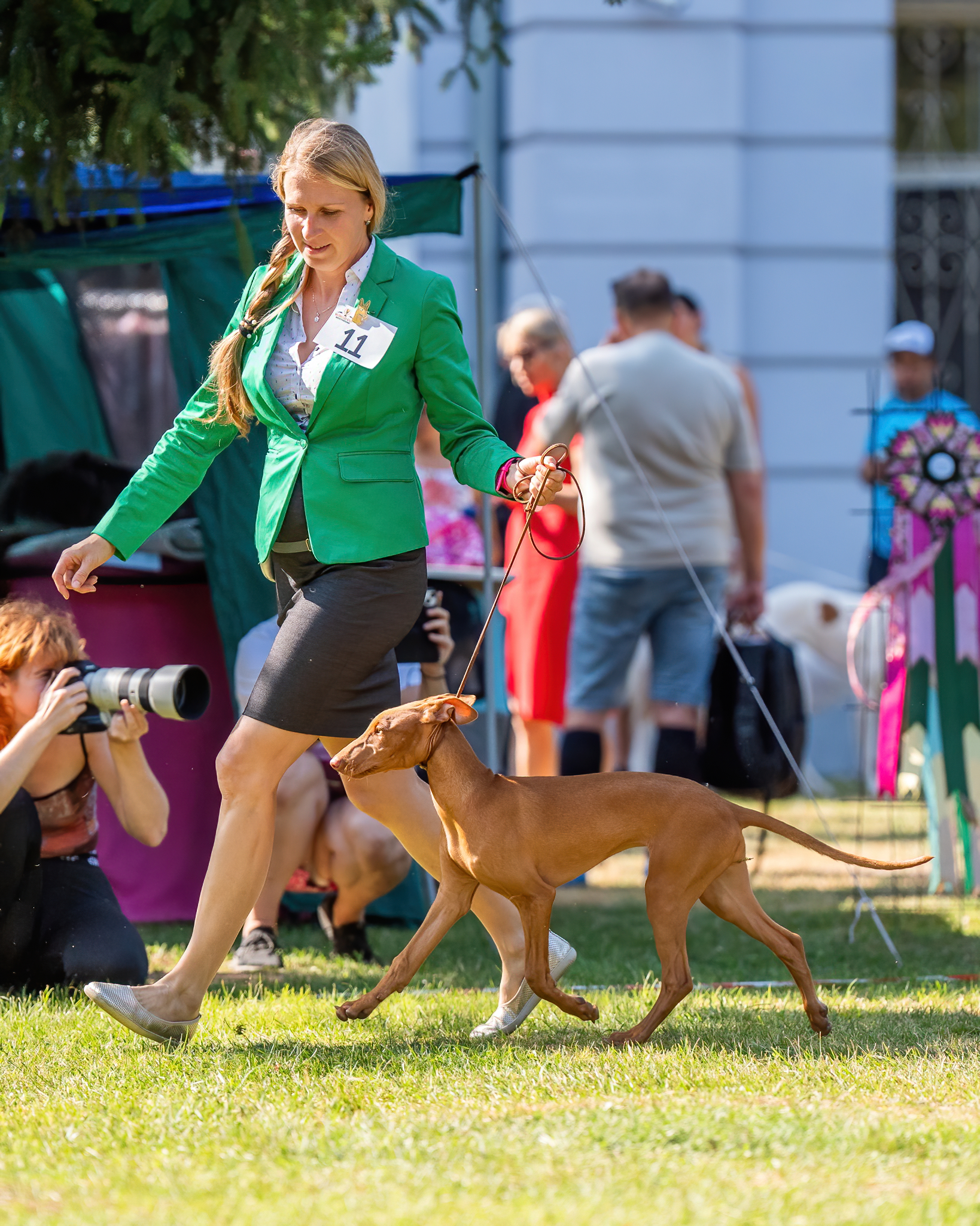 3.8.2024 Sighthound world cup Mojmirovce, SK