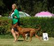 24.8.2024 CZ Specialty show Rybniček