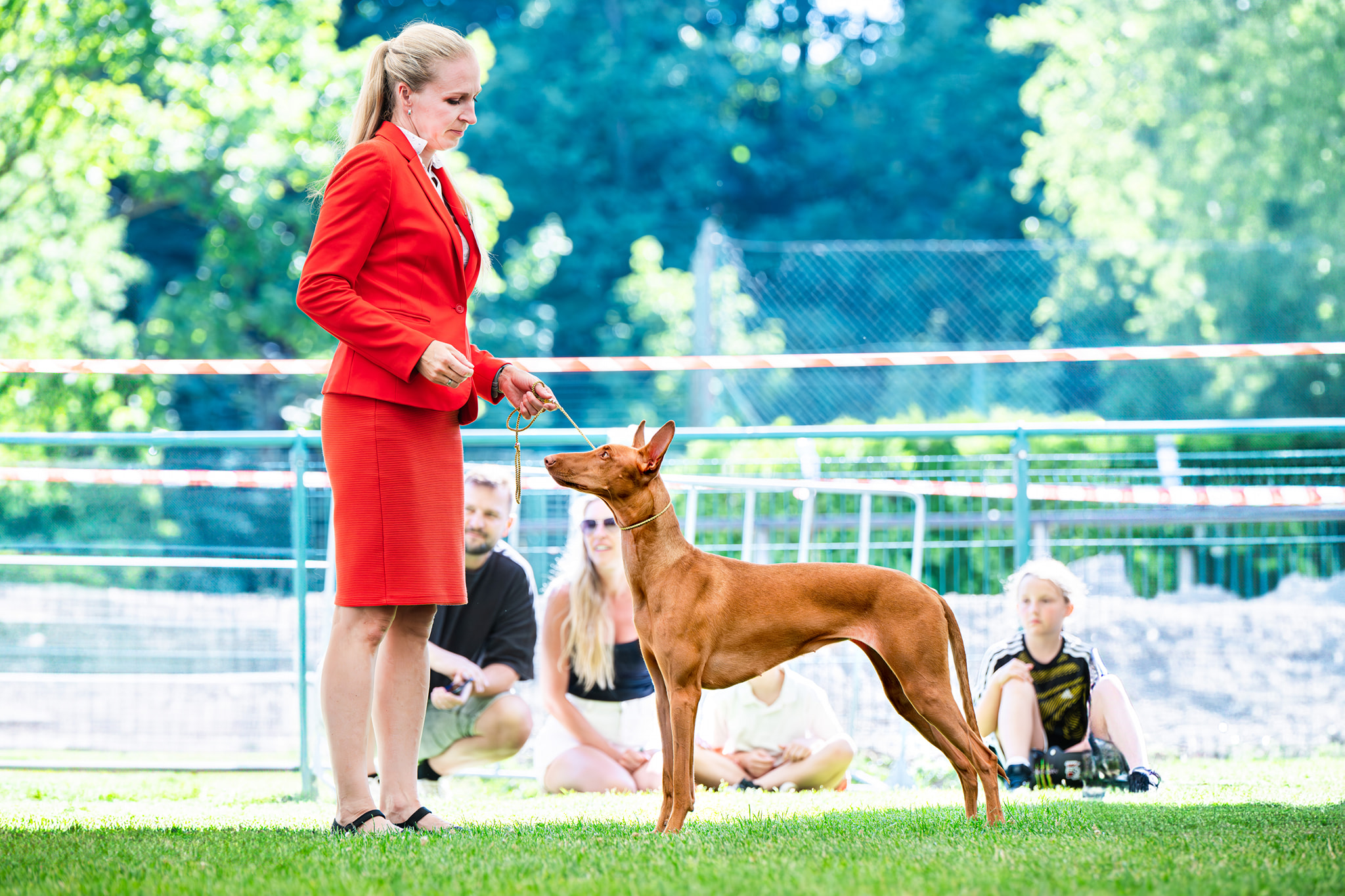 4.-5.7.2025 CAC & CACIB Wisla, PL