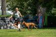 30.8.2025 CACIB Rybnik, PL