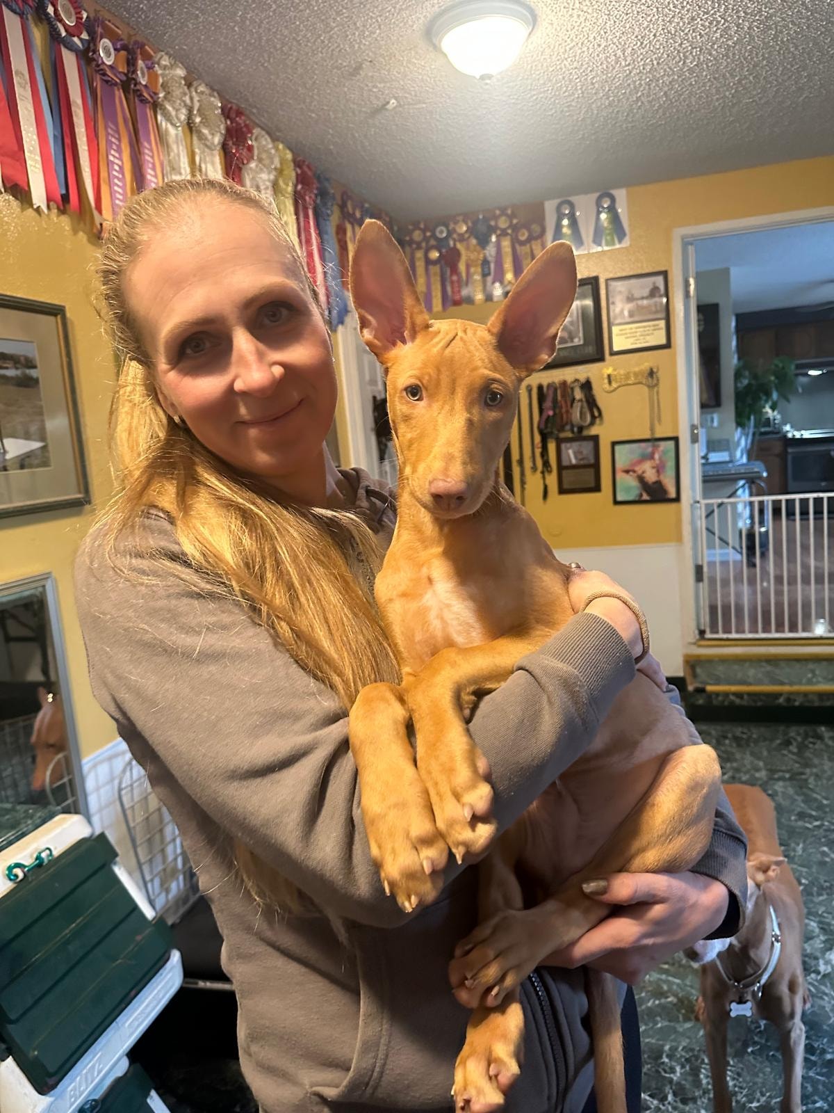 24.11.2025 Náš nový přírůstek